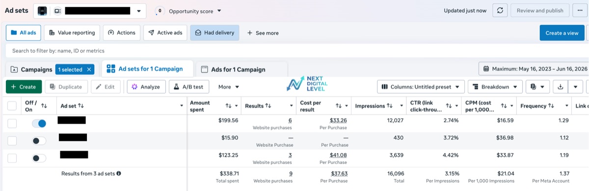 Meta Ads Manager report showing online store purchases and cost per purchase from a Facebook and Instagram campaign